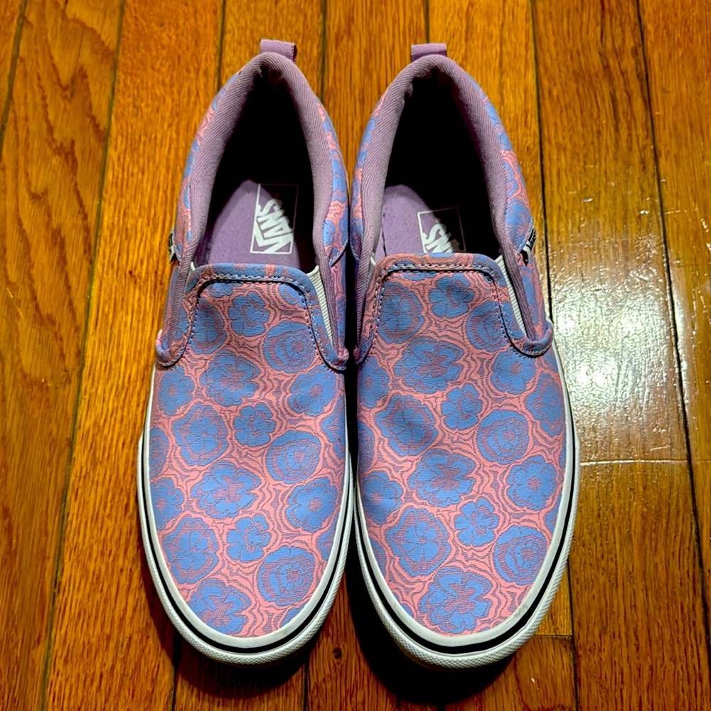 Vans Asher slip on shoes